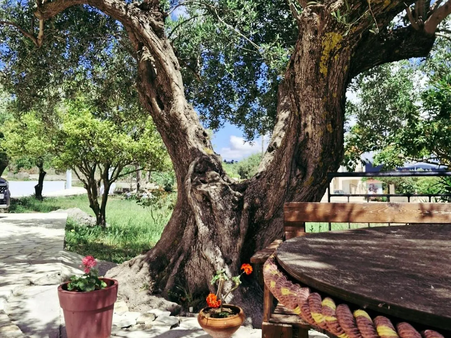 ליקסורי Olivo Apartment - Studio 0*,  יוון